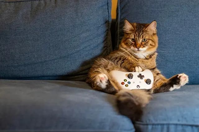 Les mécaniques de jeu qui transforment l'expérience gamer