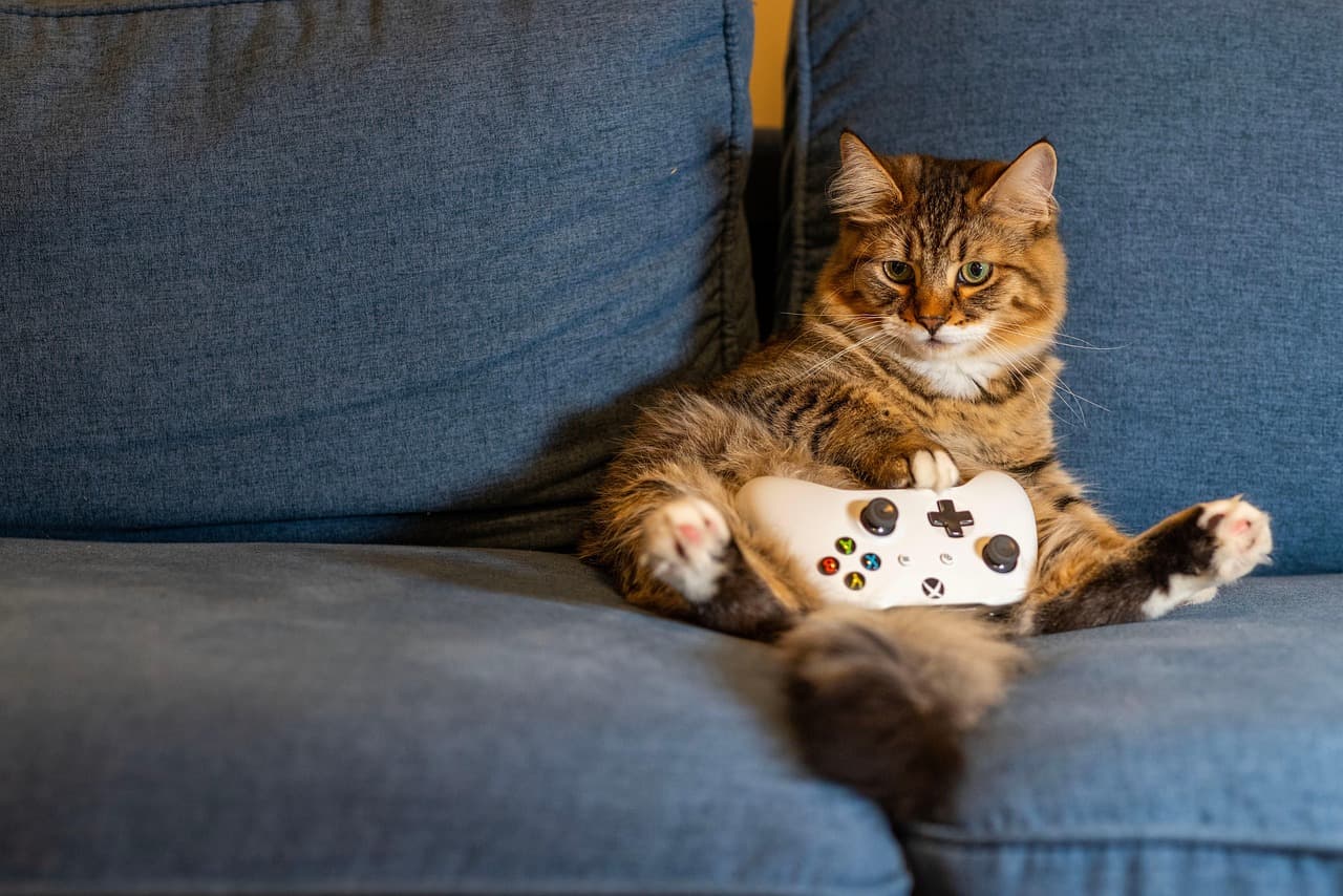 Comment bien choisir son équipement gaming pour débuter